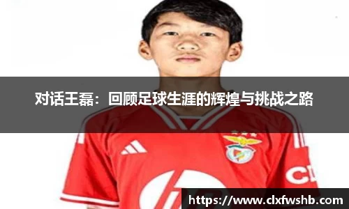 对话王磊：回顾足球生涯的辉煌与挑战之路